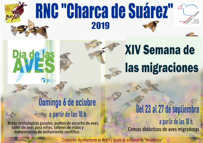La Charca de Suárez acoge la XIV semana de las migraciones
y el día de la aves 2019